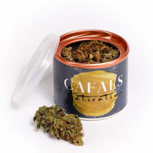 Flores Activación | 10% CBD