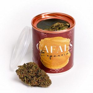 Flores Expansión | 10% CBD