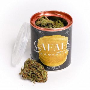 Flores Renovación | 10% CBD